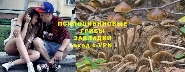 мет Новодвинск