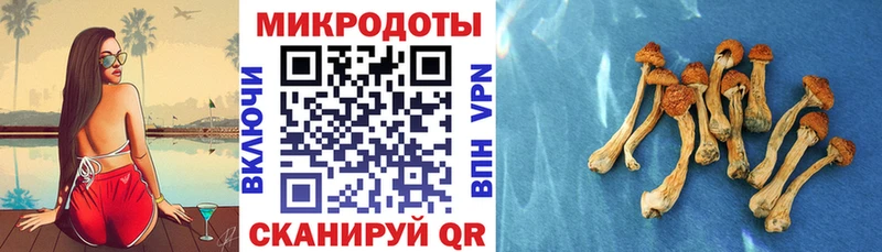 Купить где  Венёв  Галлюциногенные грибы MAGIC MUSHROOMS 